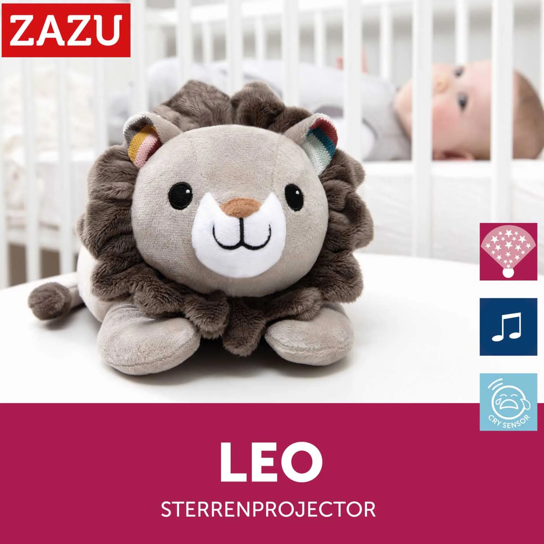 Projectors*Zazu projector leo de leeuw bruin