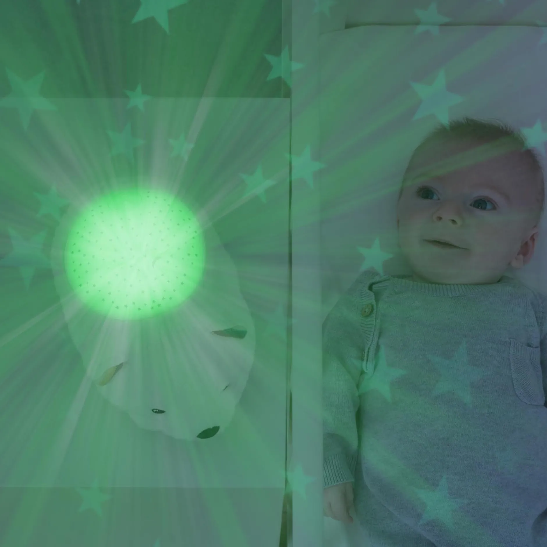Projectors*Zazu projector Polly de ijsbeer wit