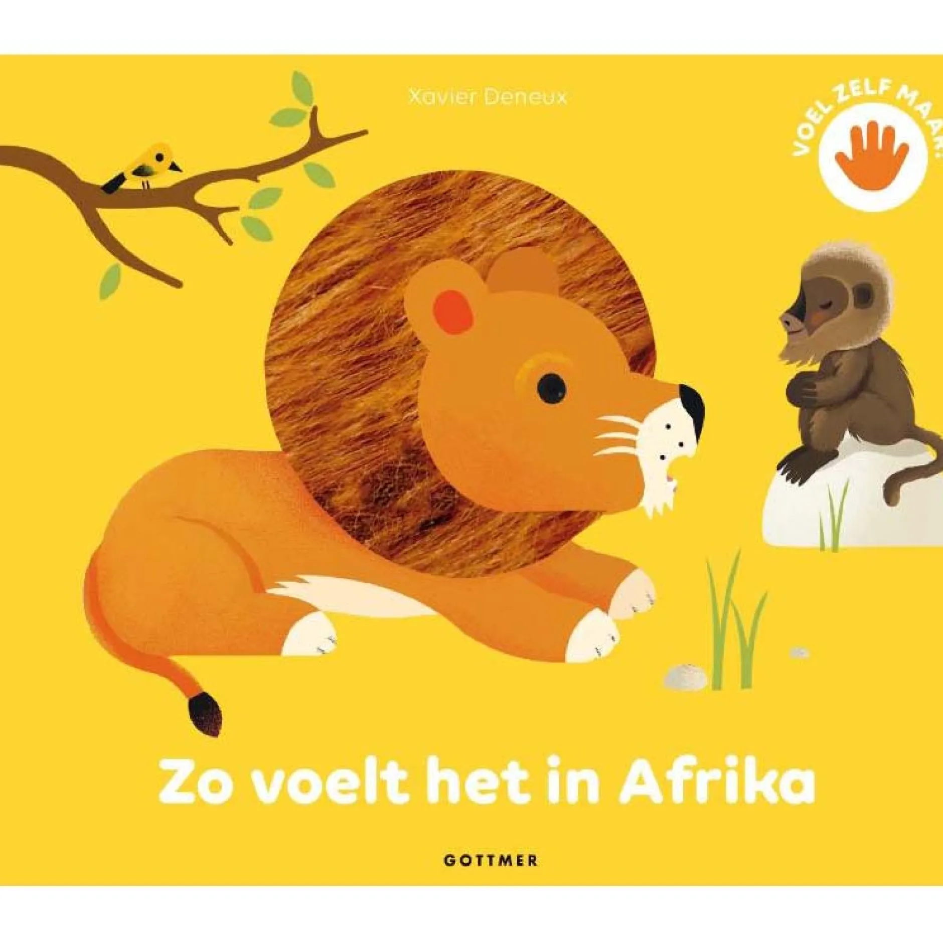 Kinderboeken*Boeken Zo voelt het in Afrika Multi